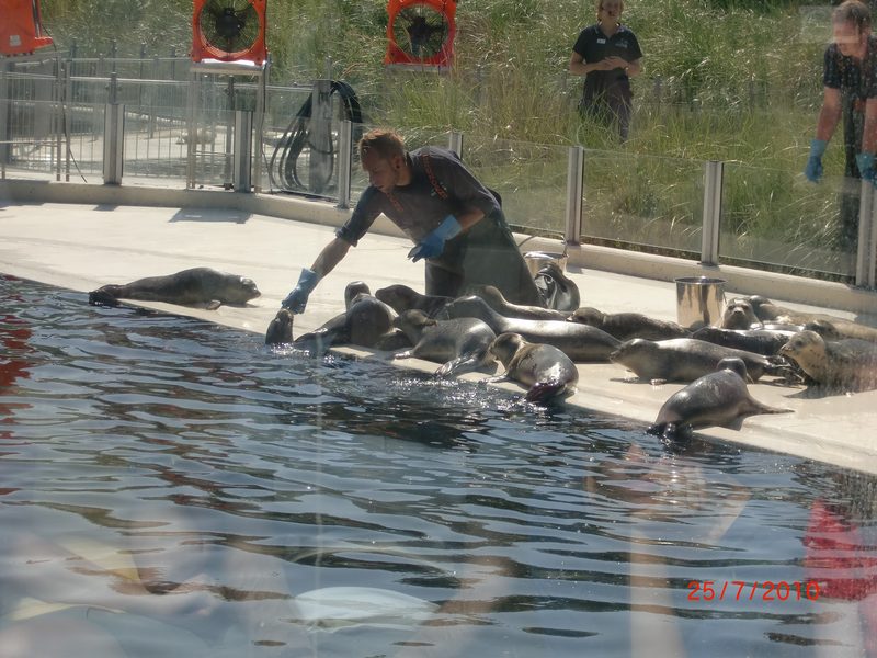 bild_213.jpg