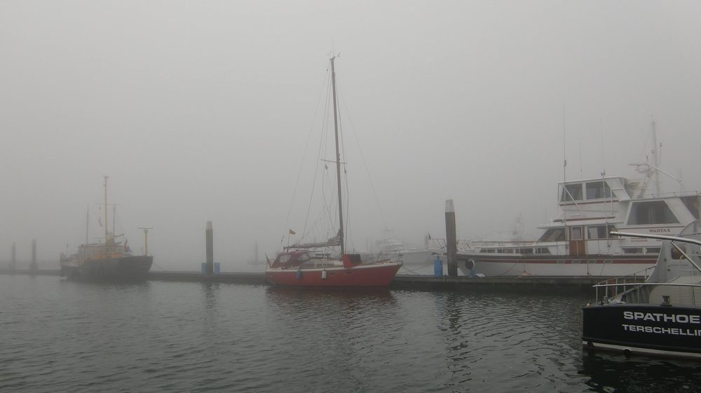 bild_260.jpg