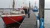 bild_246.jpg