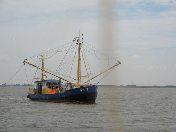 bild_001.jpg